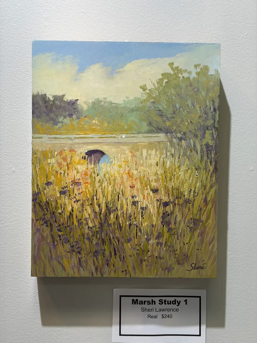 Marsh Bridge Study