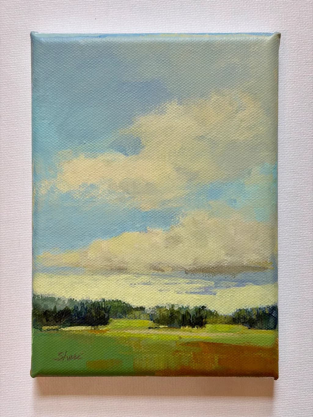 Open Field Sky