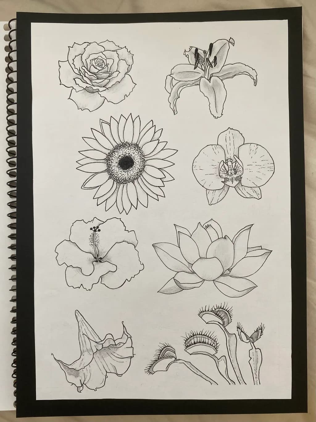 Floral Symphony: A Collection of Intricate Botanical Illustrations