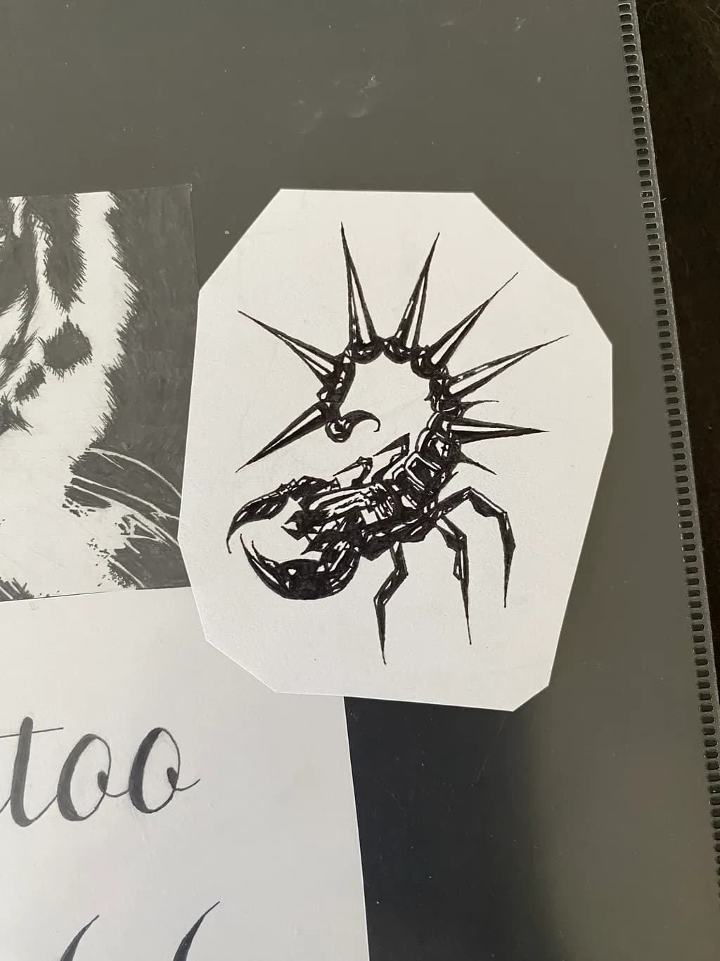 Scorpion's Edge: A Bold Ink Illustration of Nature's Fierce Guardian