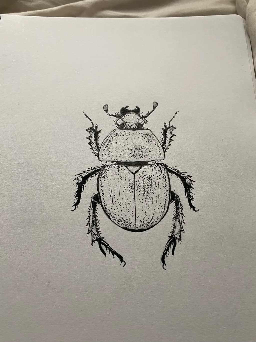 Intricate Beetle: A Detailed Study of Nature's Artistry