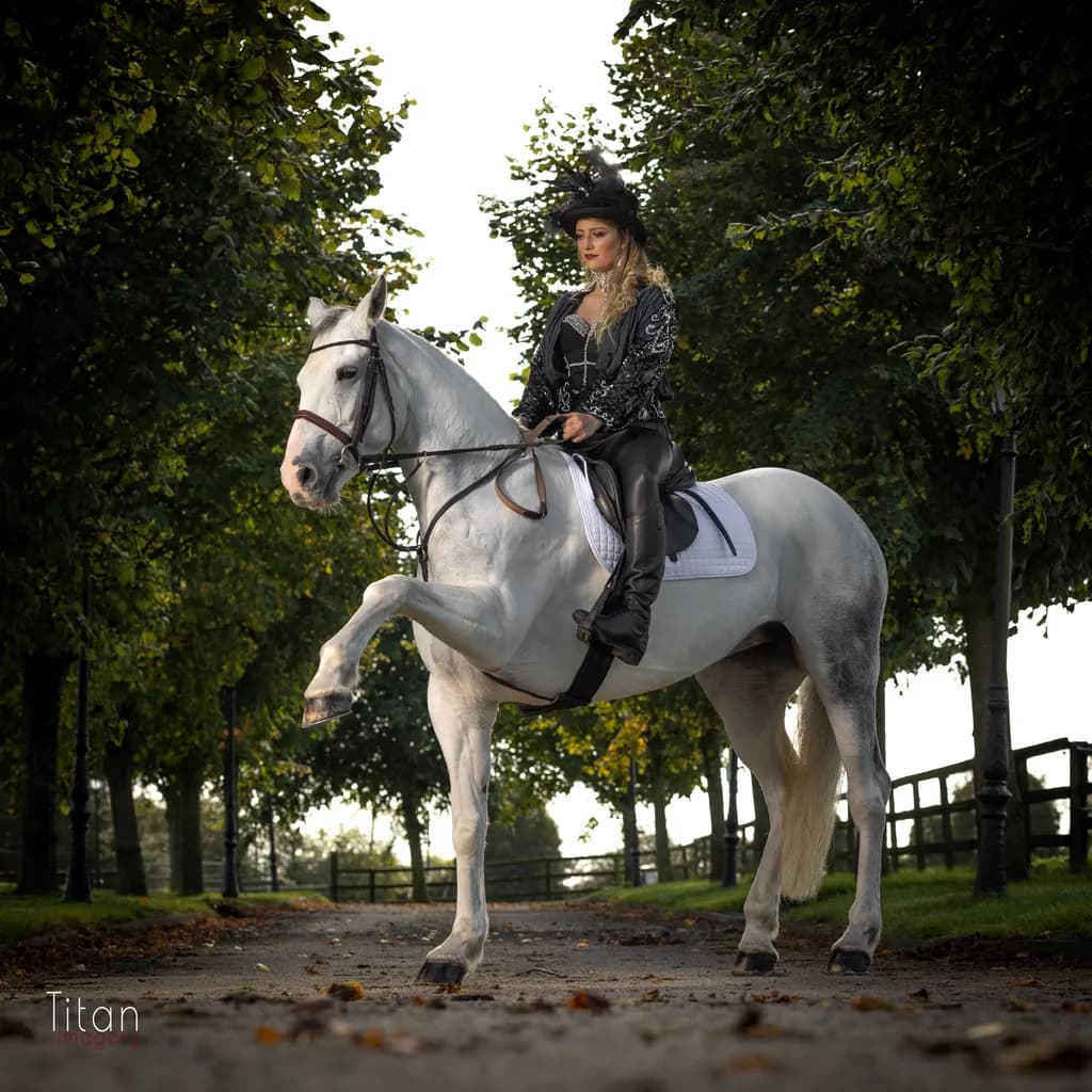 Majestic Elegance: A Dance of Horse and Rider in Nature's Embrace