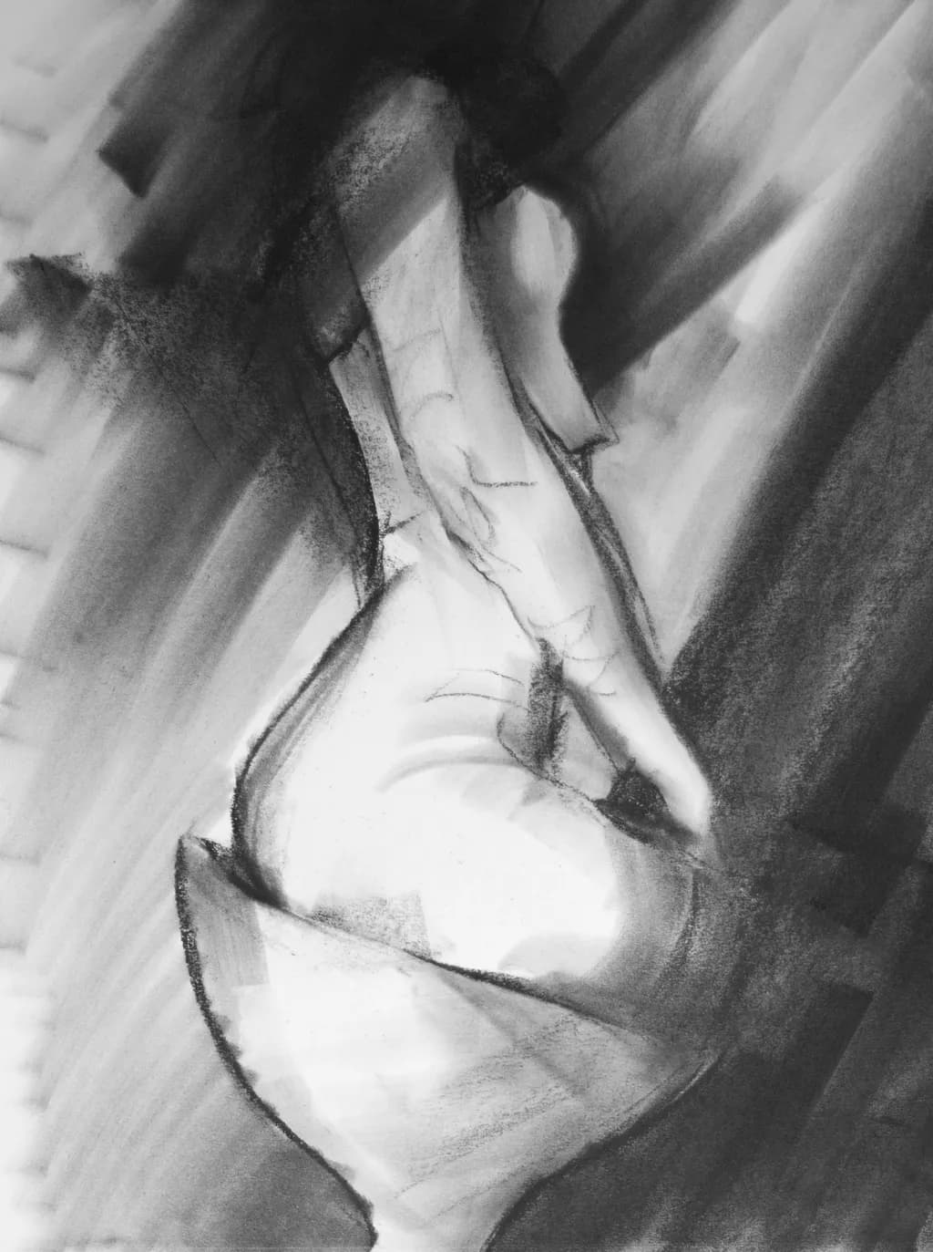 Monochrome Figure Study: Exploring Shadows and Curves in Charcoal