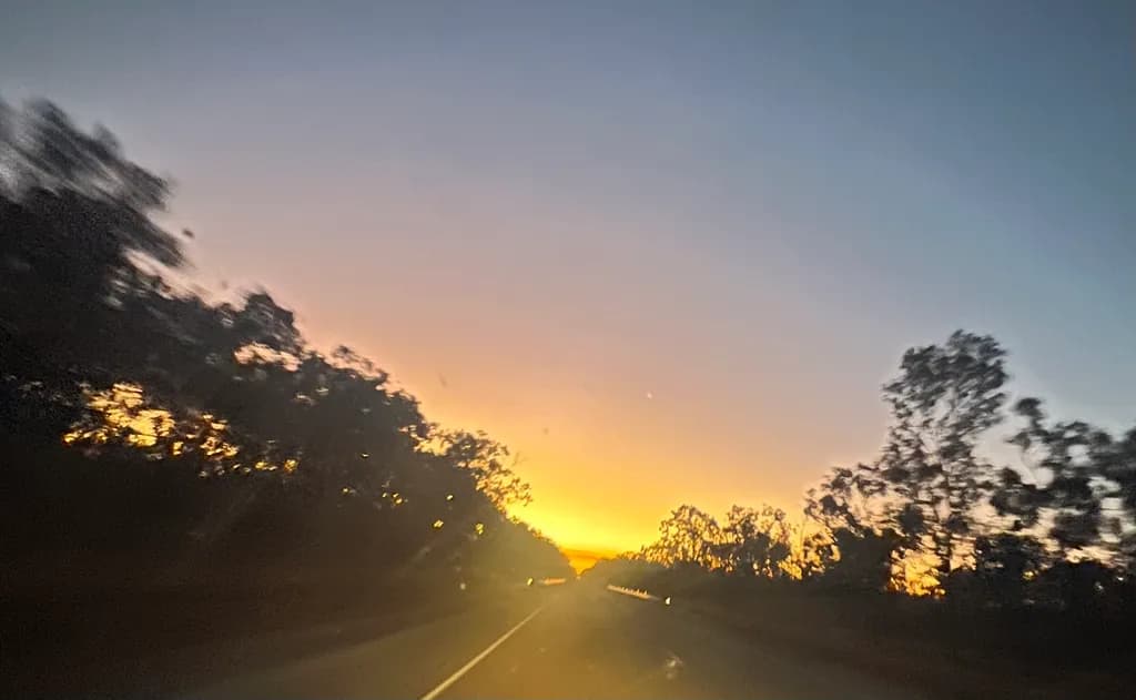 Sunset Journey: A Serene Drive Through Nature's Canvas