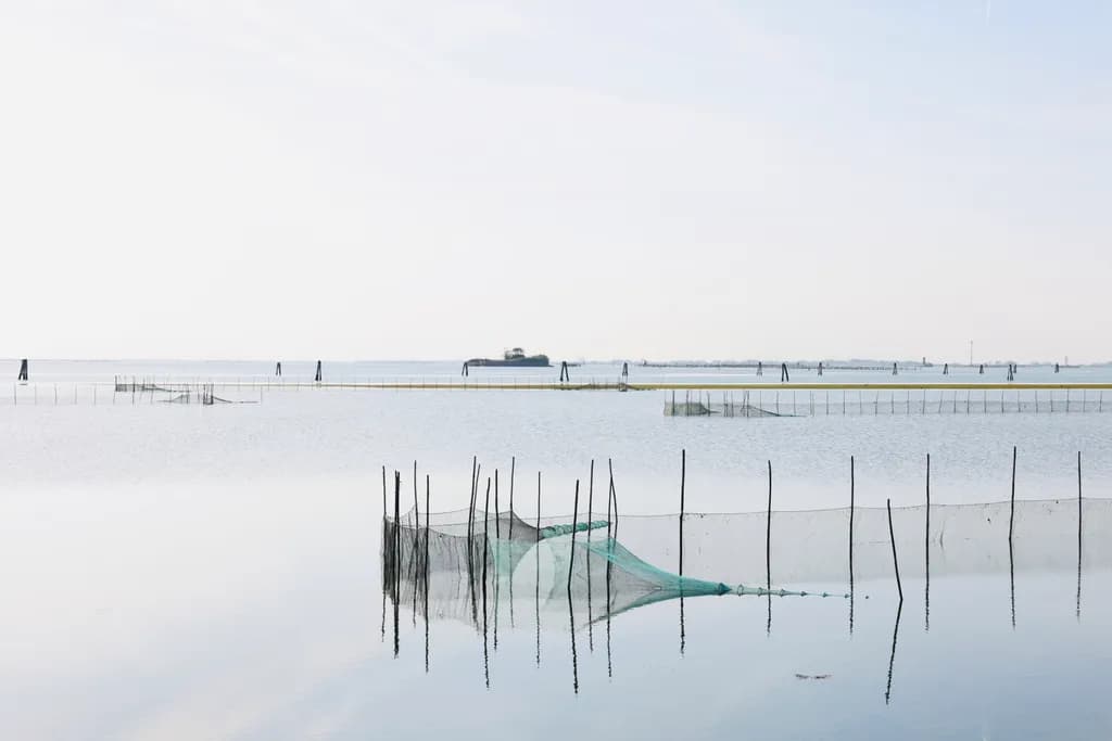 Serenity in Still Waters: A Tranquil Fishing Landscape