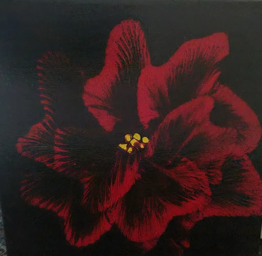 Red Hibiscus Glow