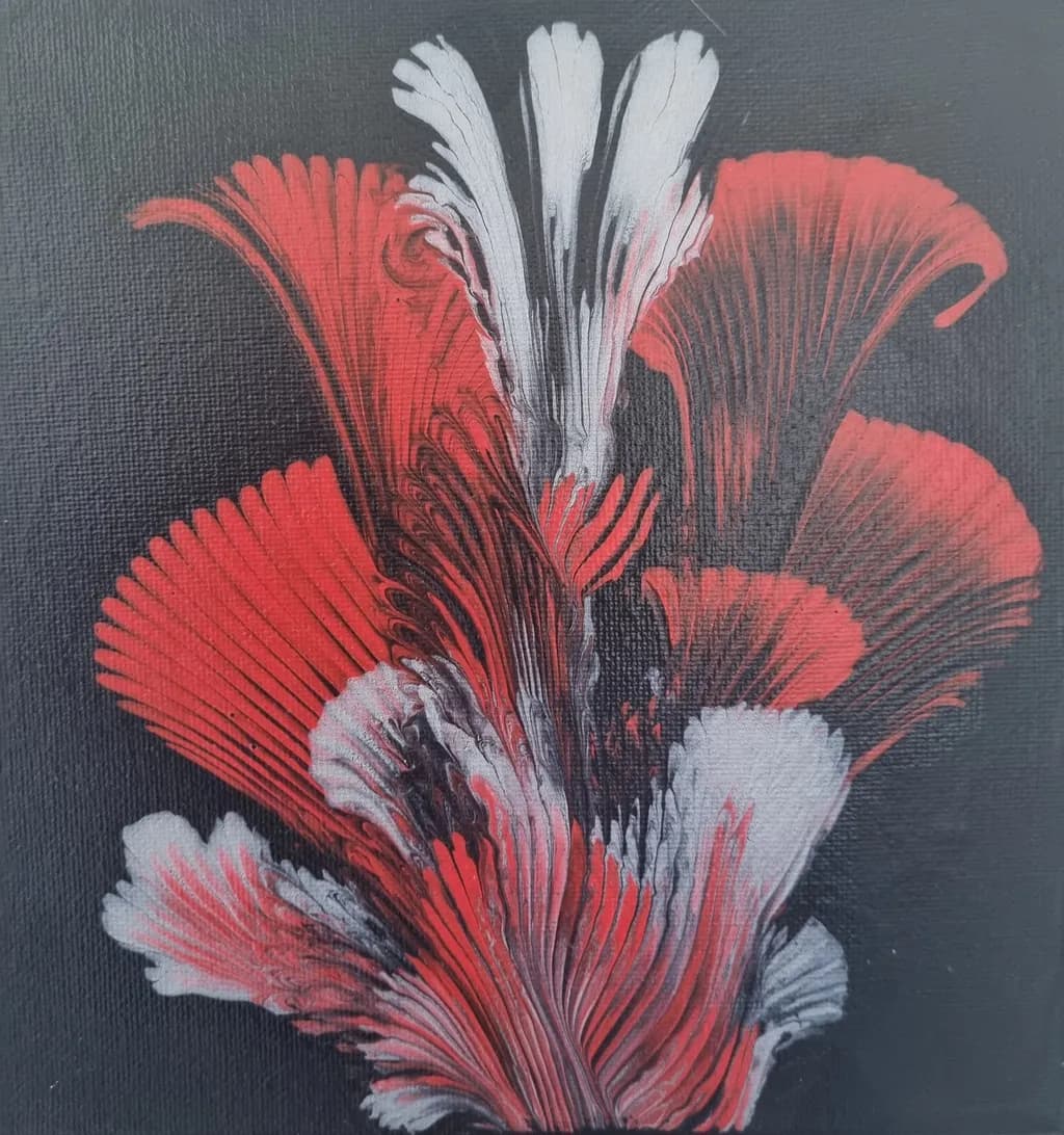 Red and White Feathers