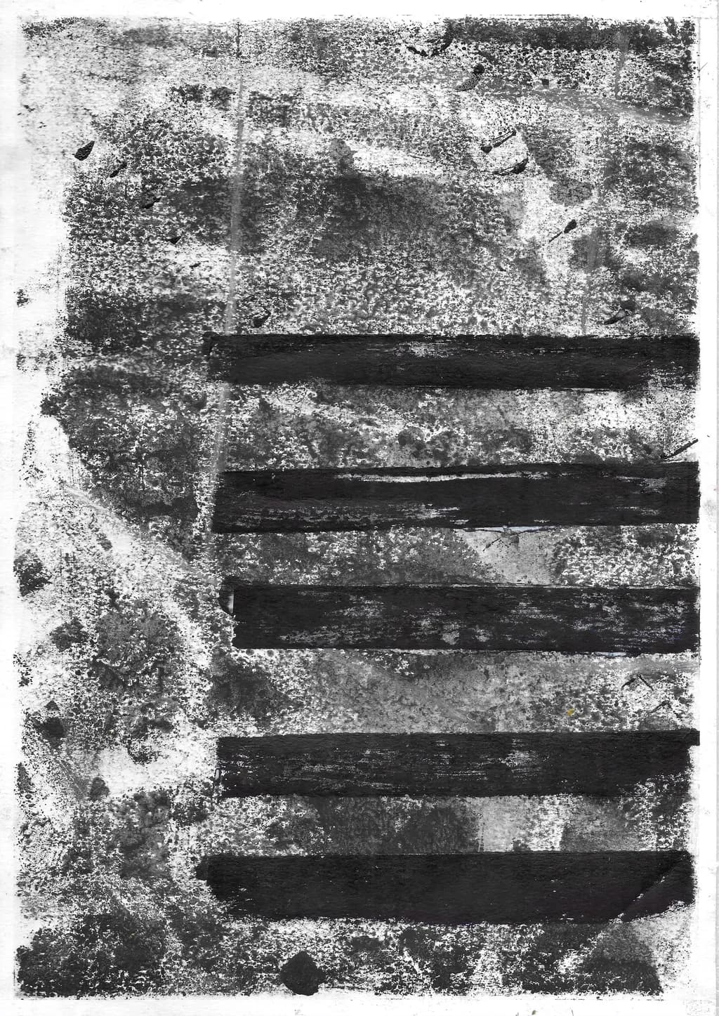 Ethereal Shadows: A Dance of Black and White Textures