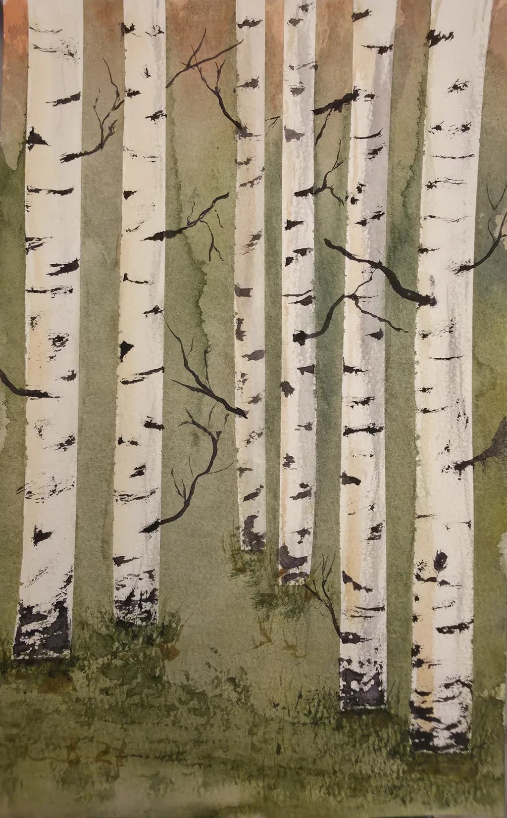 Birches