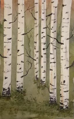 Birches