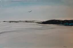Birds Over Quiet Shoreline