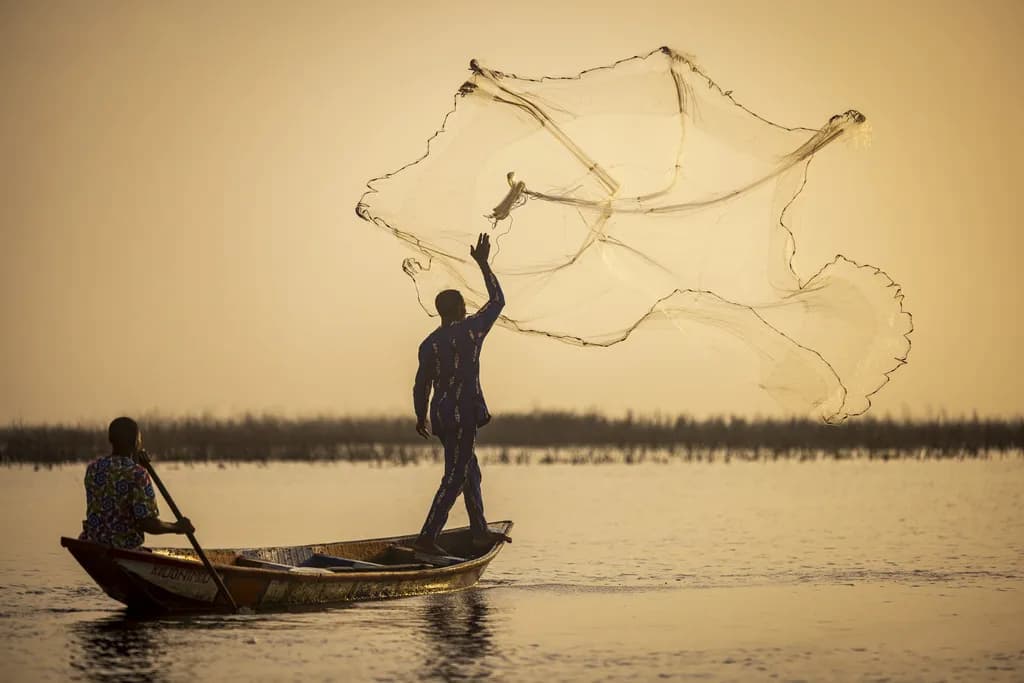 Casting Nets
