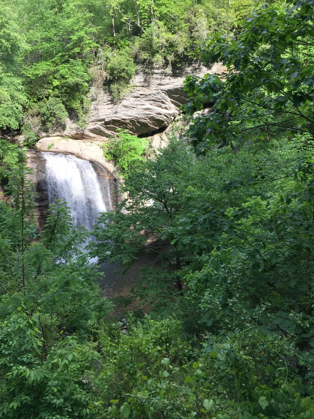 Whispers of Tranquility: A Serene Waterfall in Lush Green Forests