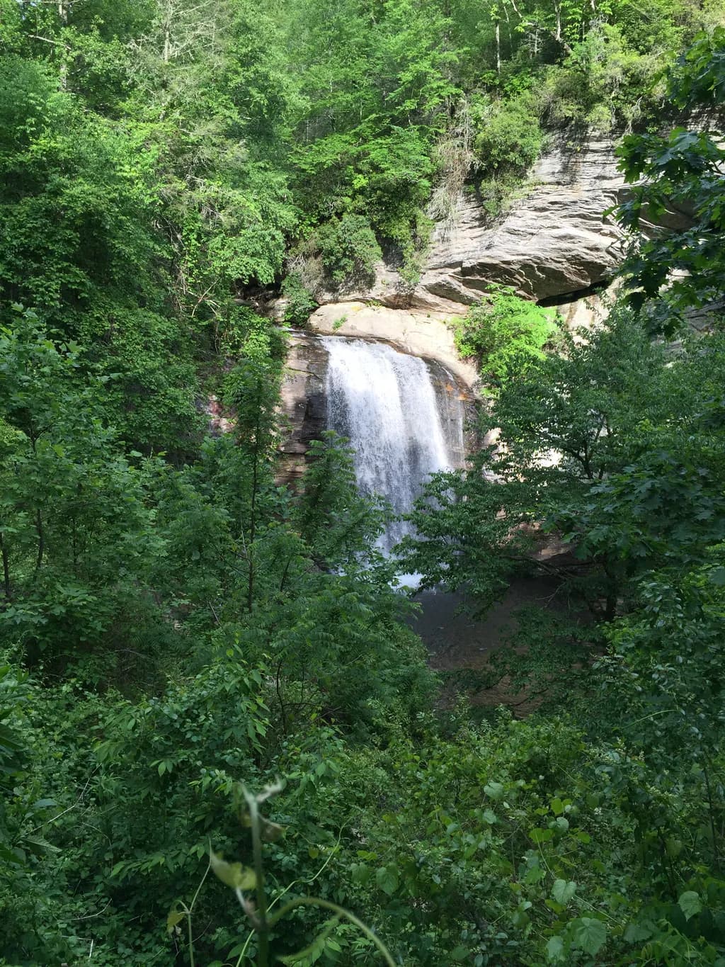 Whispers of the Waterfall: A Serene Escape into Nature's Embrace