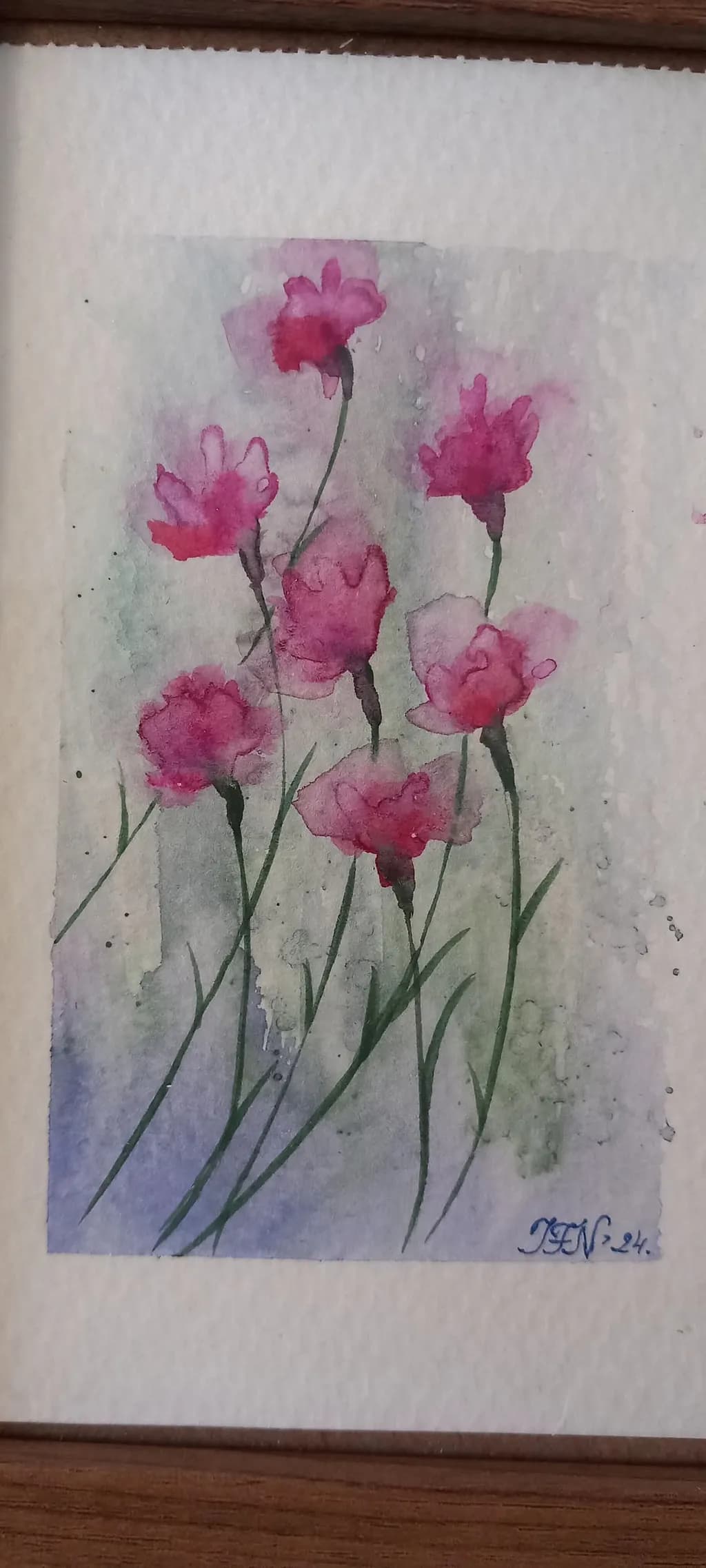 Pink Carnations