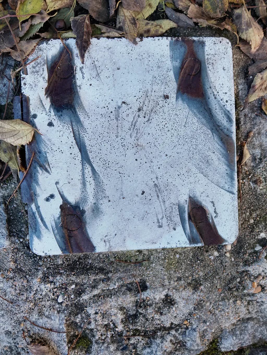 Leaf-Strewn Blue Abstraction