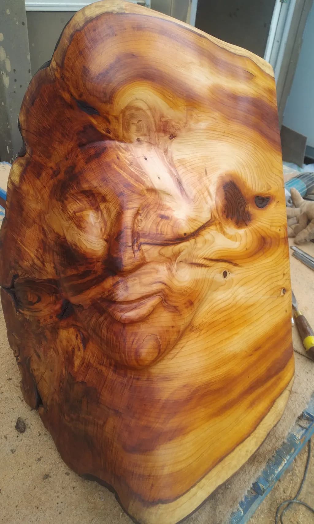Wooden Visage