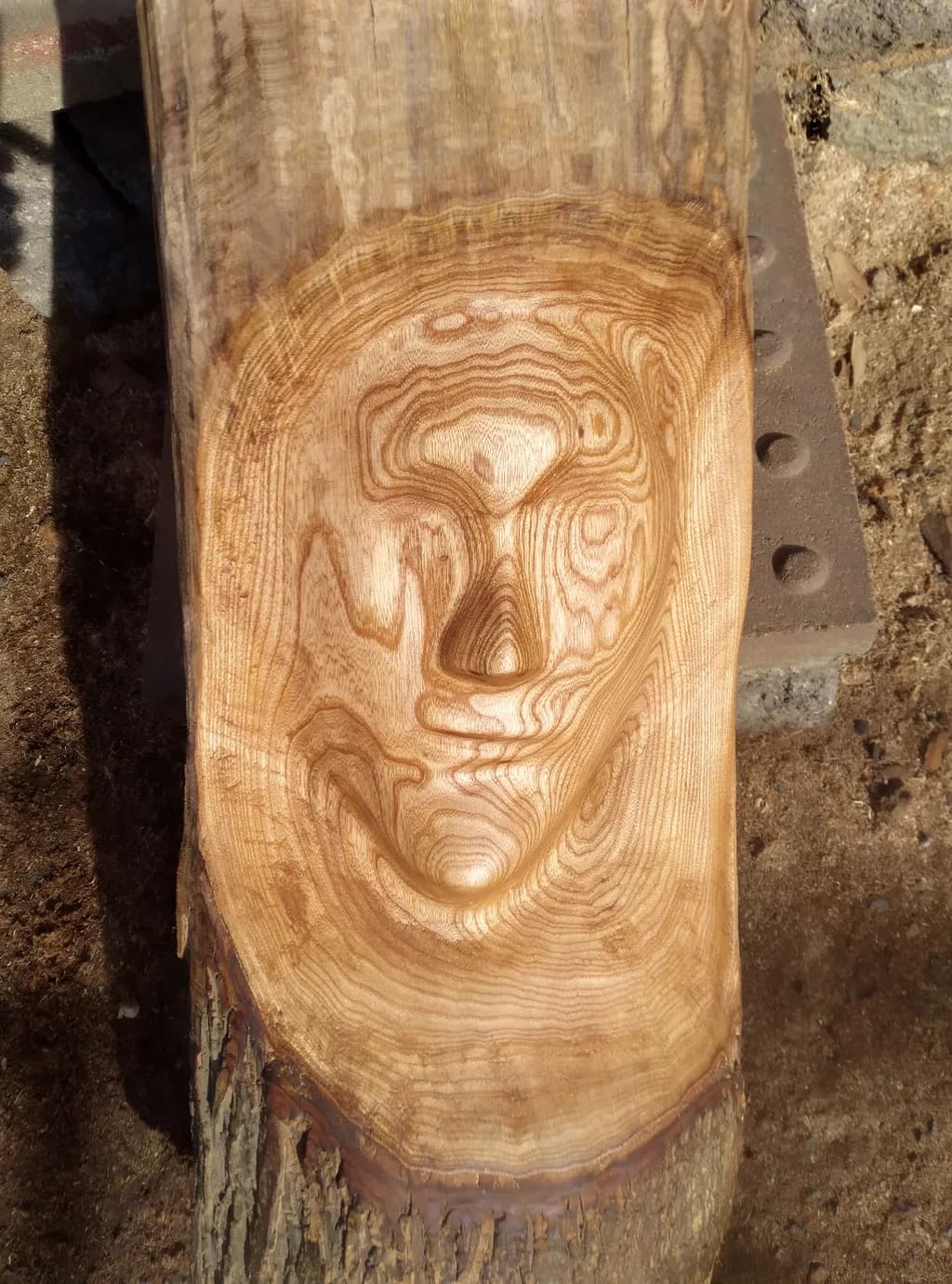 Wooden Visage