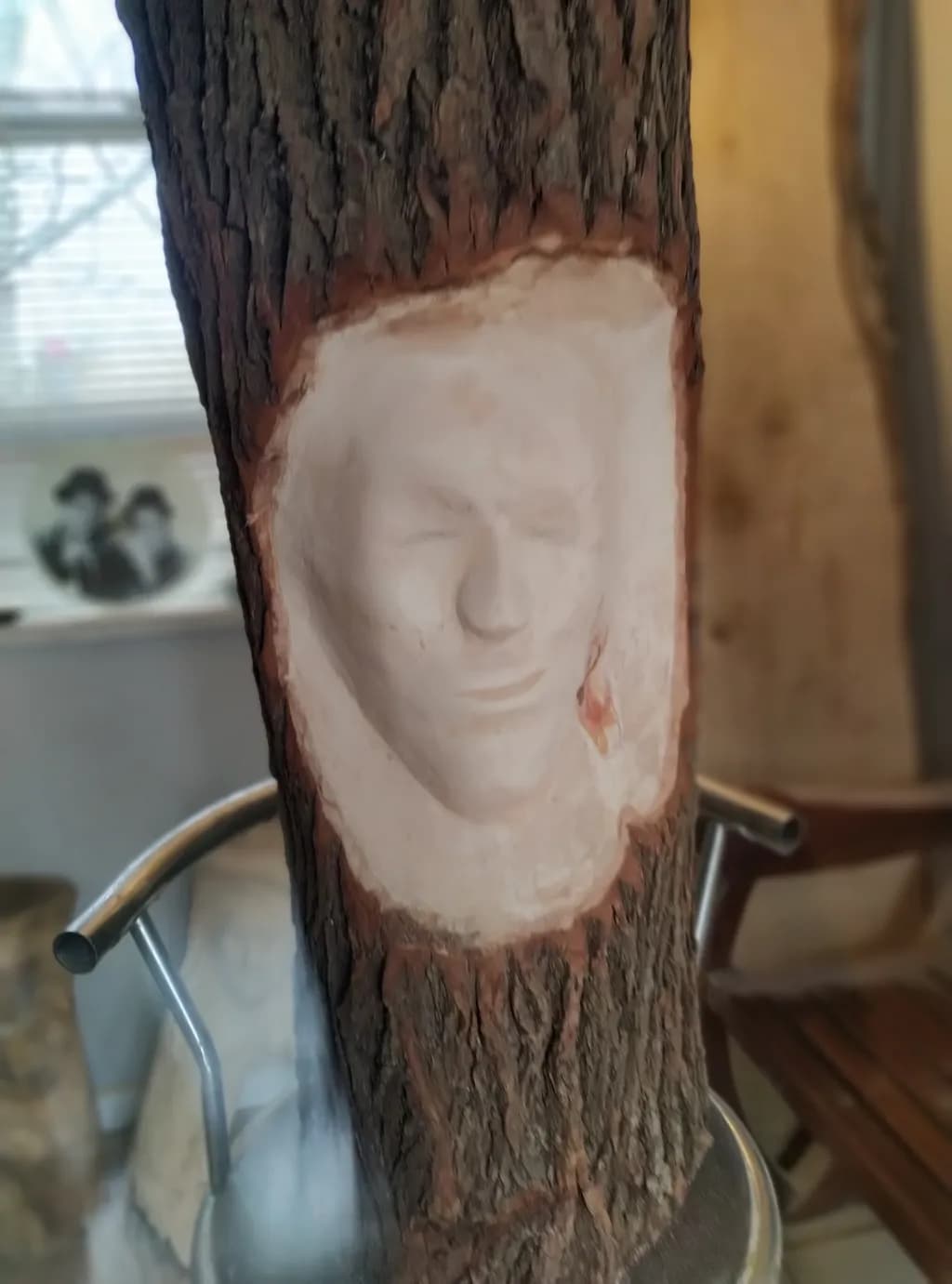 Nature's Portrait