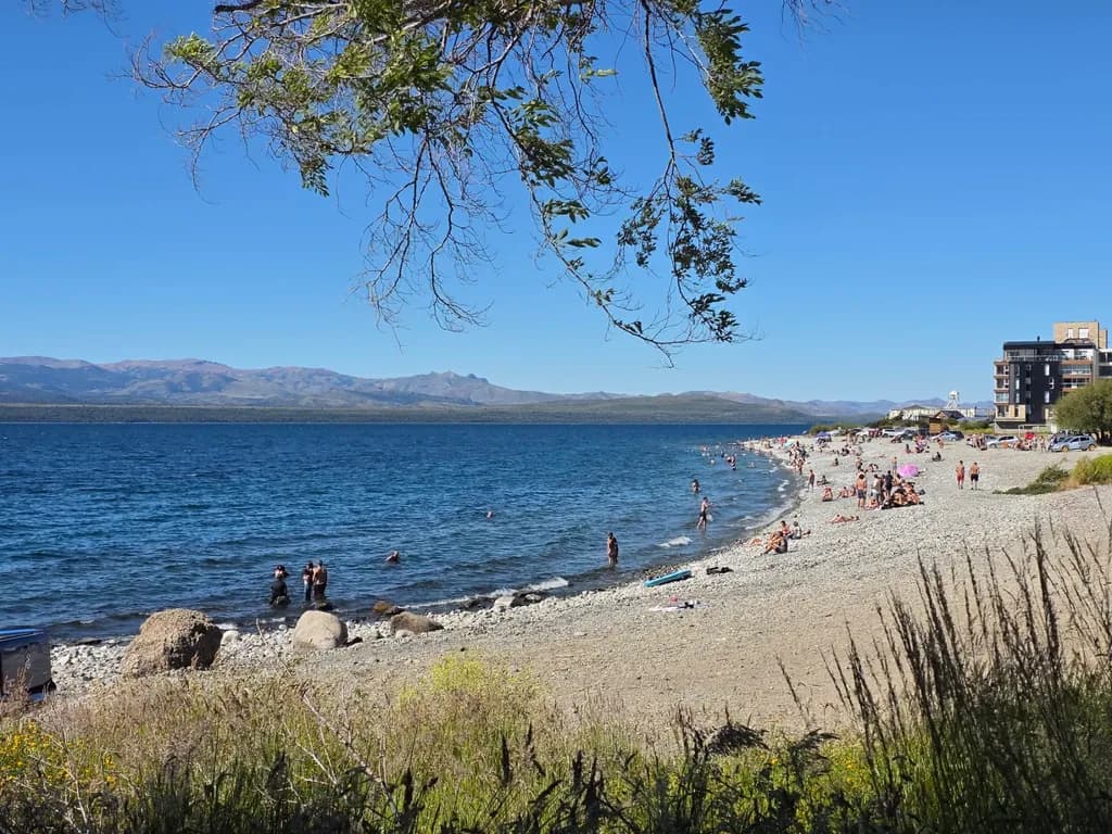 Sunlit Shoreline
