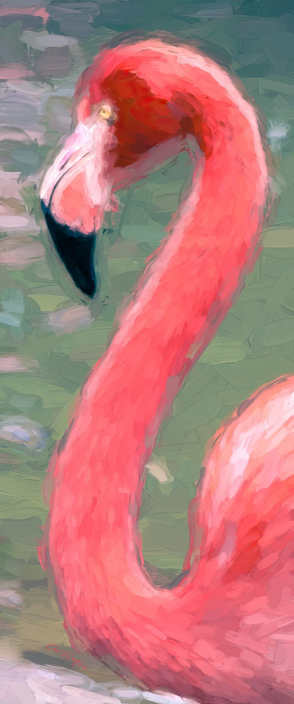 Pinko Flamingo