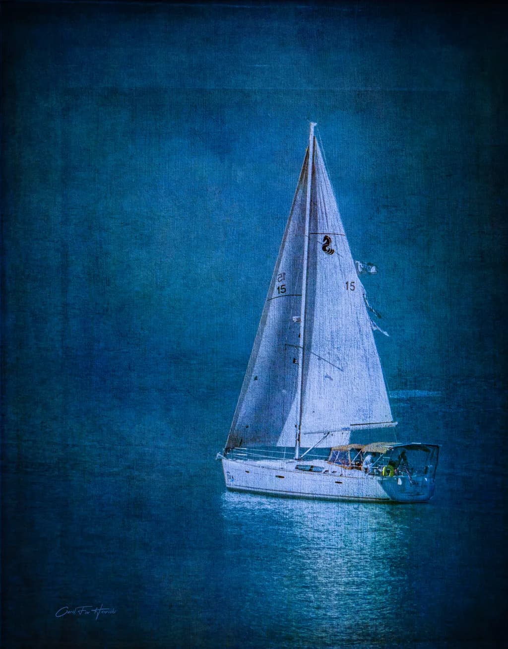 Charleston Sail