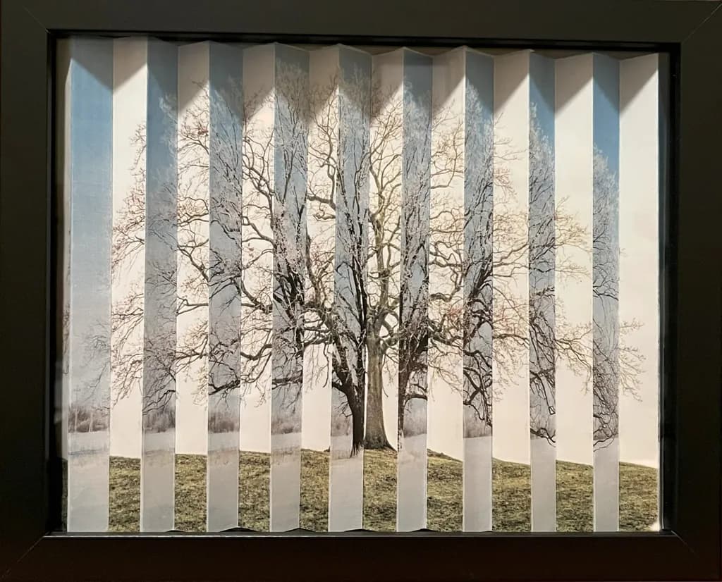 Winter Spring Tree