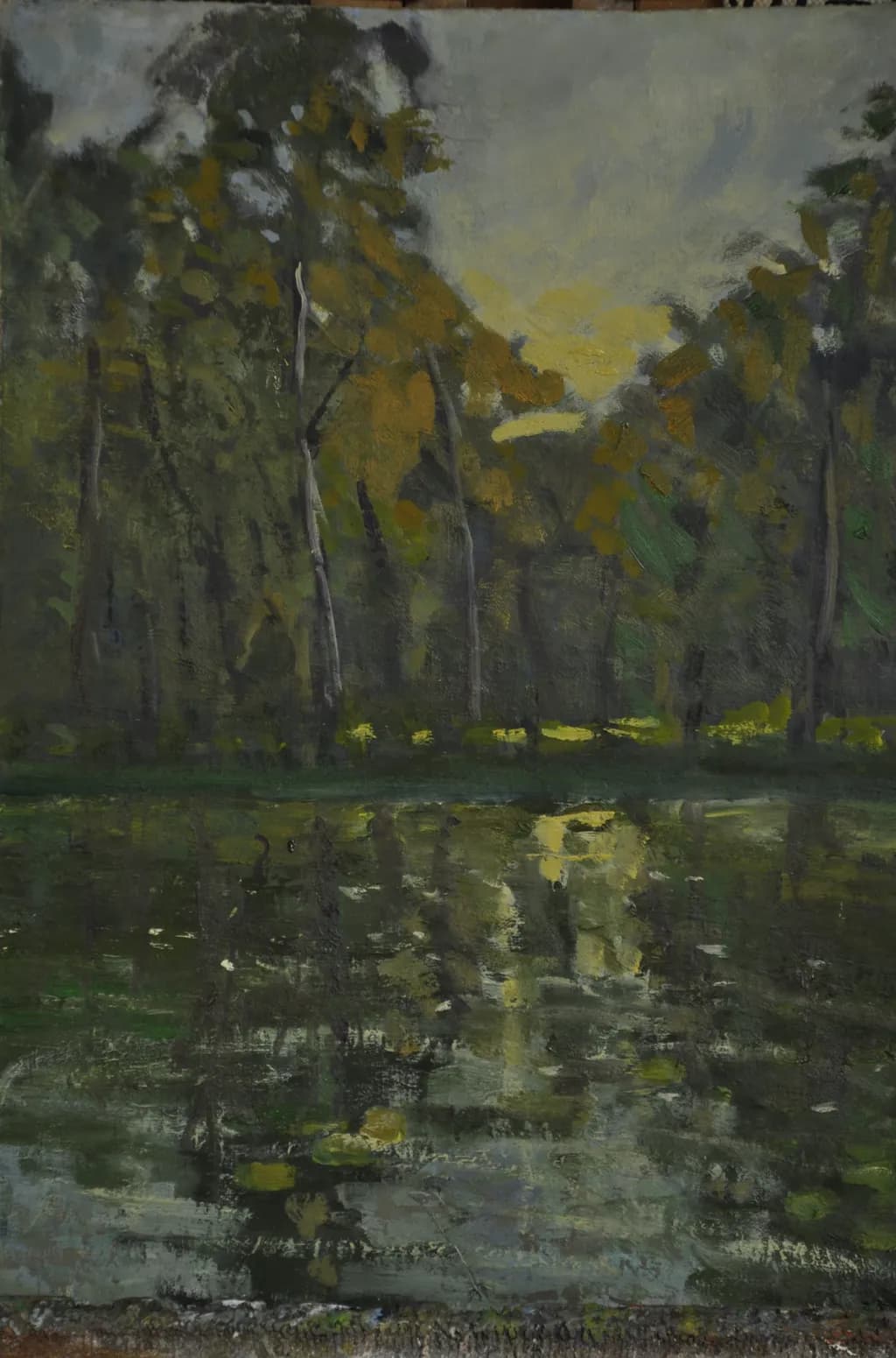 Whispers of Serenity: A Tranquil Reflection in Nature's Embrace