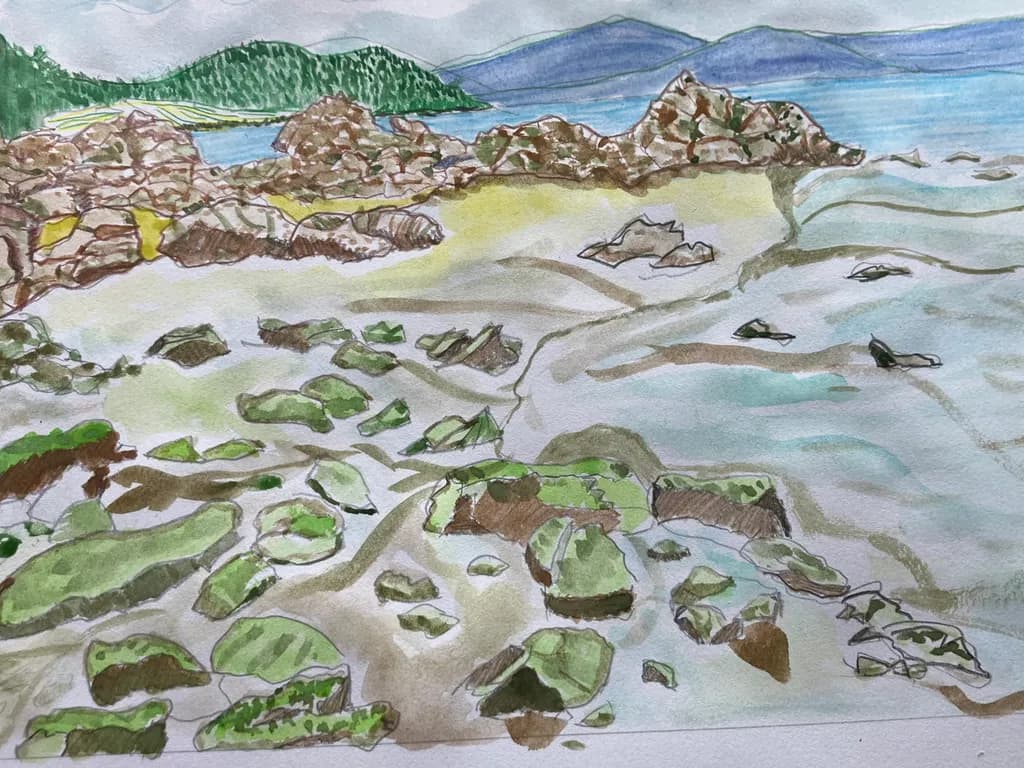Mediterranean Coastline