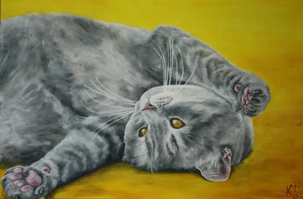 Whiskered Whimsy: A Playful Gray Cat's Relaxed Reverie on a Golden Canvas