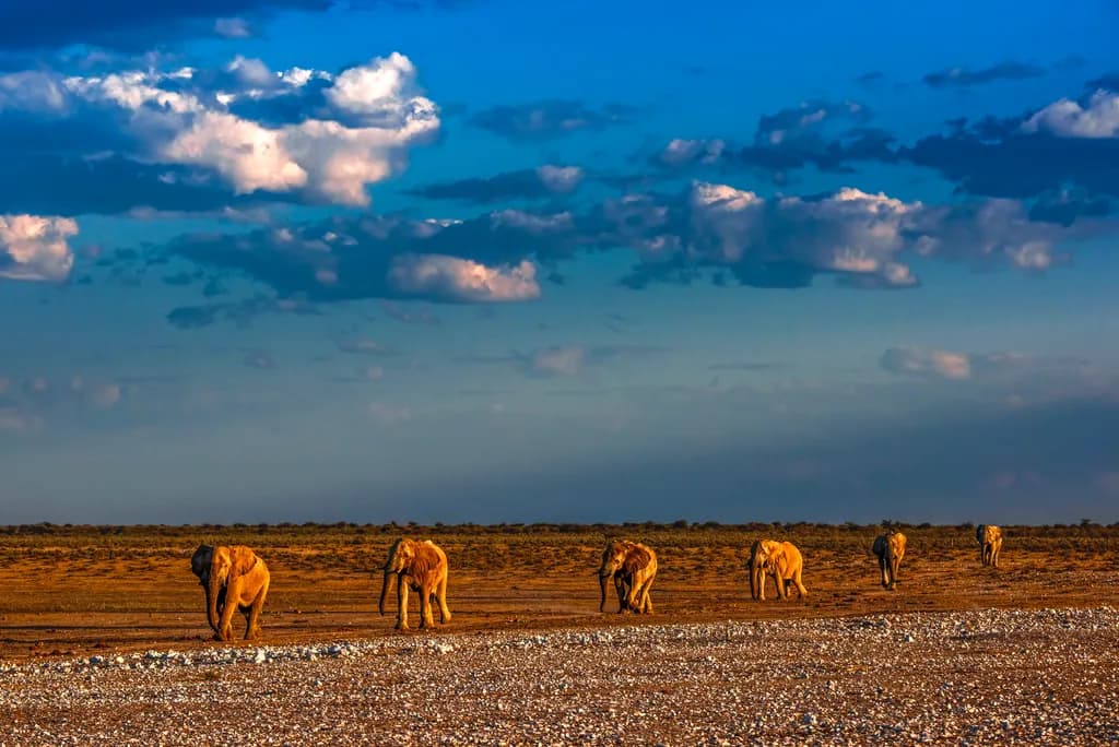 Majestic Giants Under a Vast Sky: Elephants Roaming the African Landscape