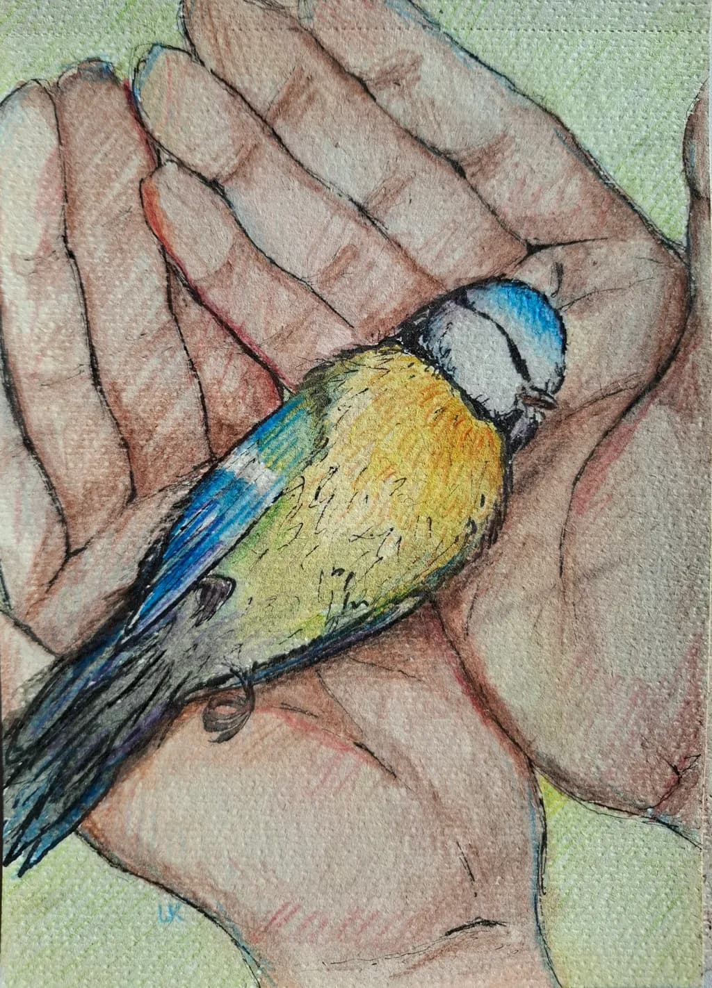 Gentle Embrace