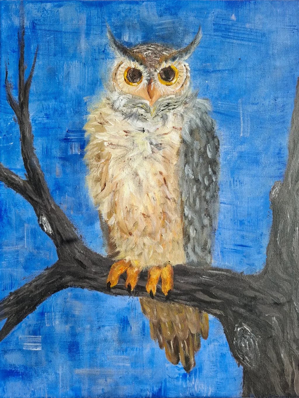 Owl on Branch
