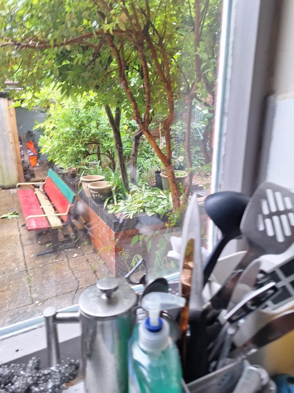 Whispers of Nature: A Glimpse Through the Kitchen Window