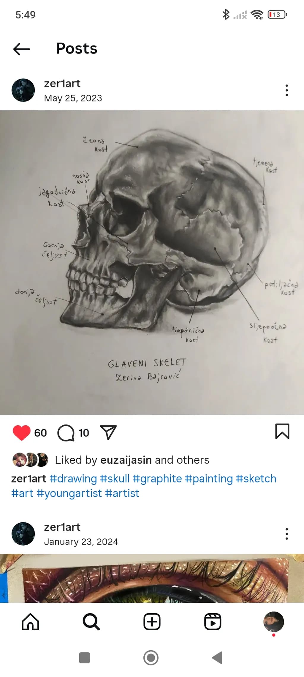 Ethereal Realism: A Graphite Study of the Human Skull