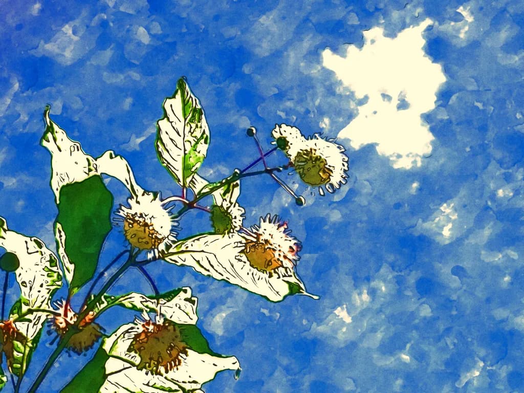 Skyward Blooms