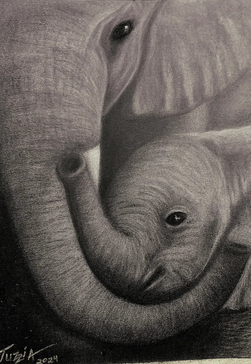 Elephant Embrace