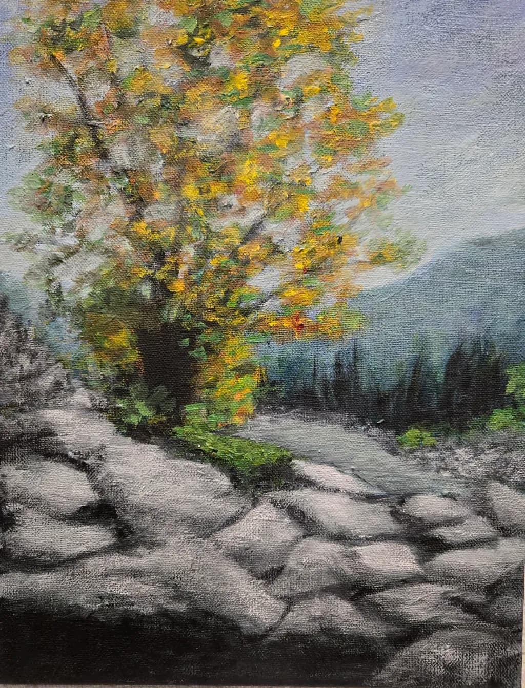 Whispers of Autumn: A Vibrant Tree Amidst Serene Stones