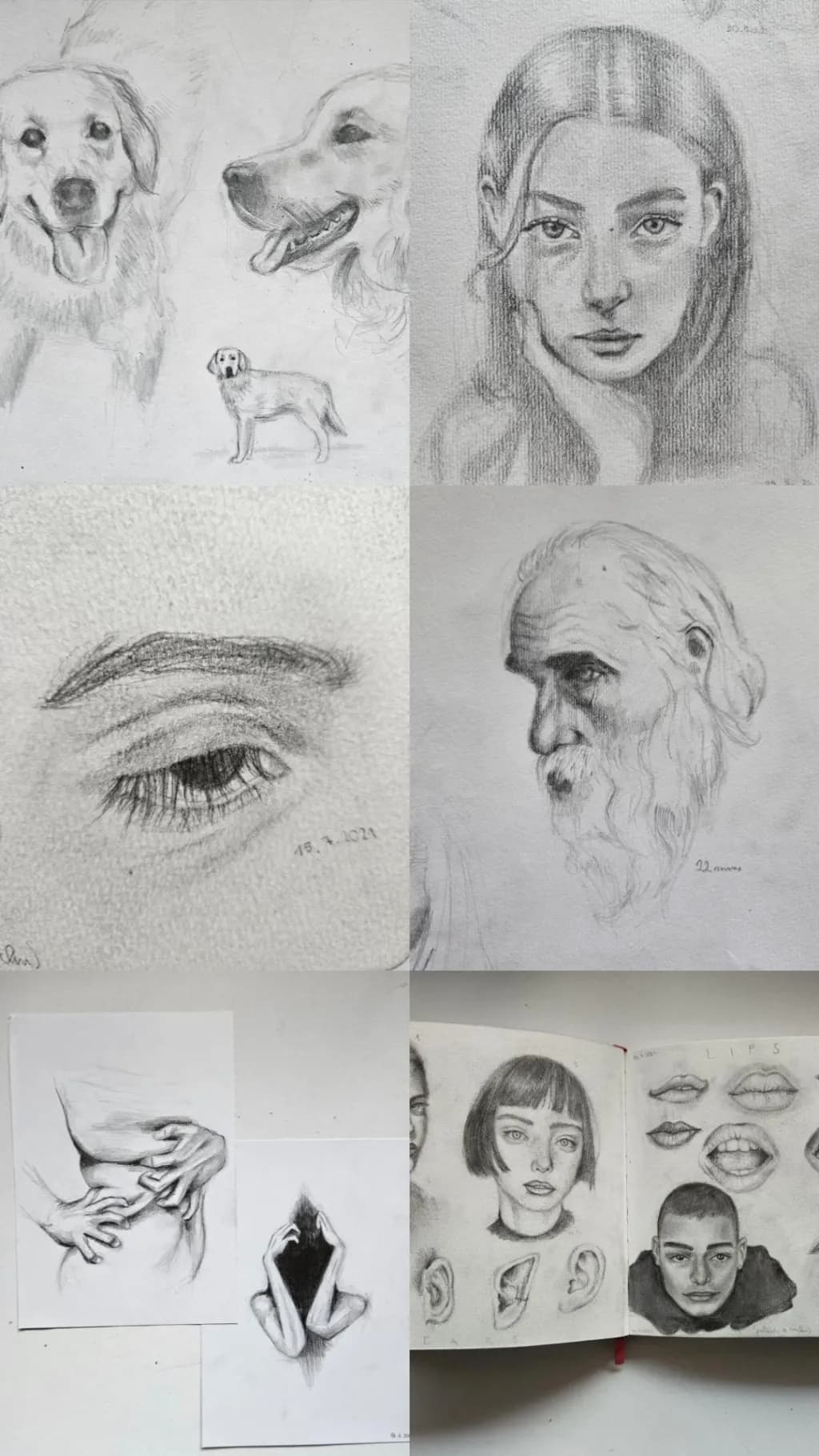 Whispers of Emotion: A Collection of Portraits and Animal Studies in Graphite