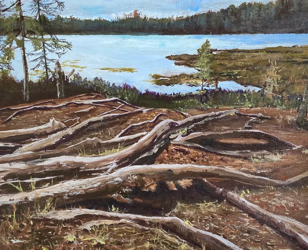 Rooted Reflections