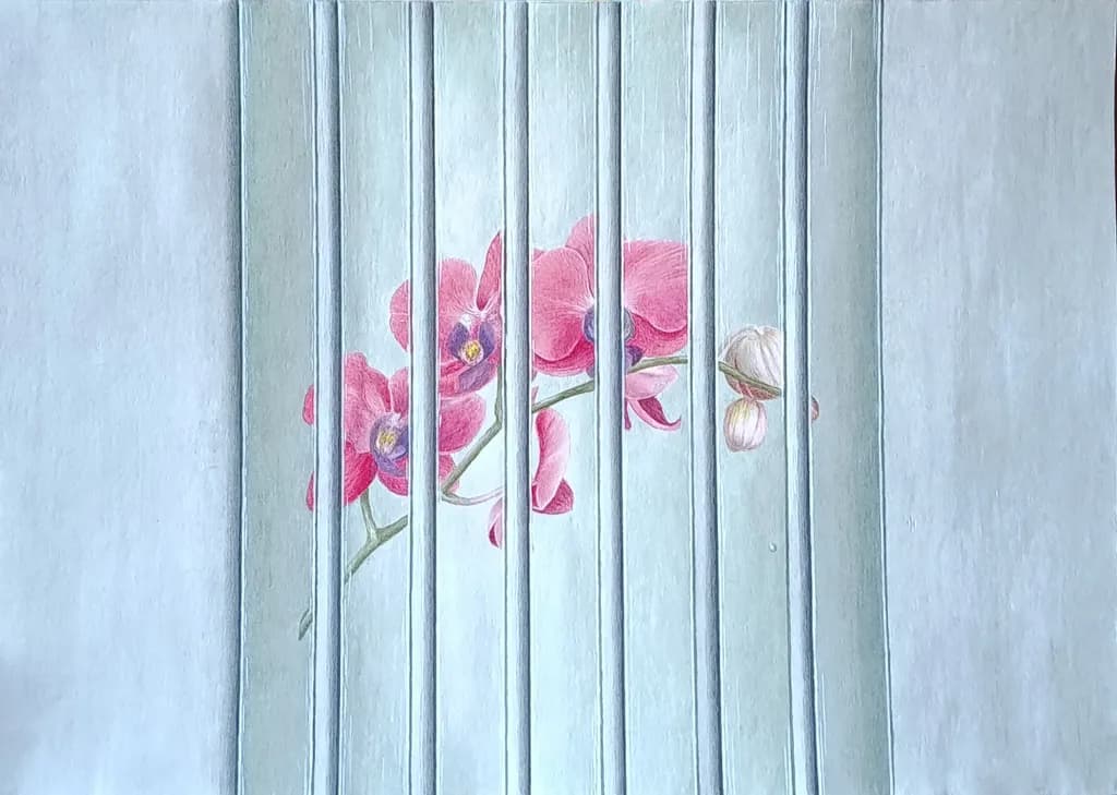 Orchid Veil