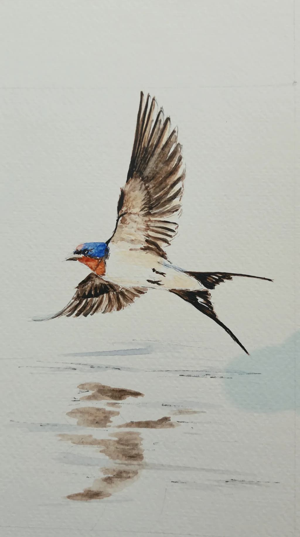 Swallow in Flight