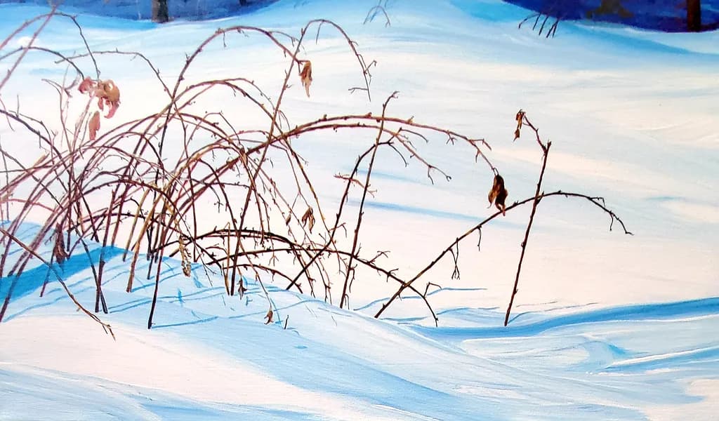 Whispers of Winter: A Serene Landscape of Snow-Covered Branches