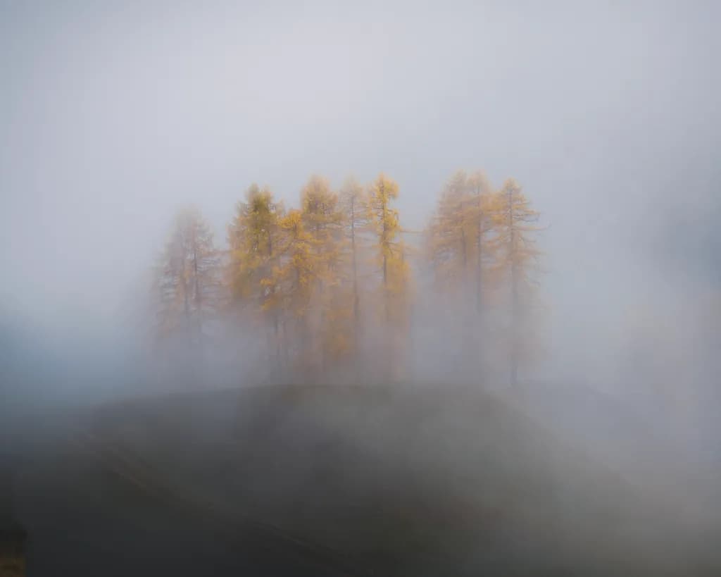 Whispers of Autumn: Ethereal Mist and Golden Trees in a Serene Landscape