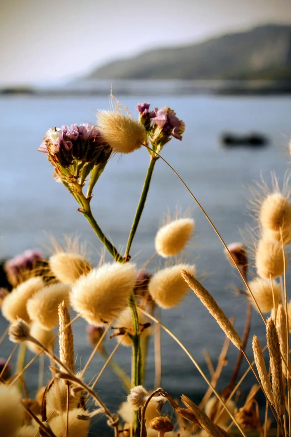 Whispers of Nature: A Serene Floral Embrace by the Water's Edge