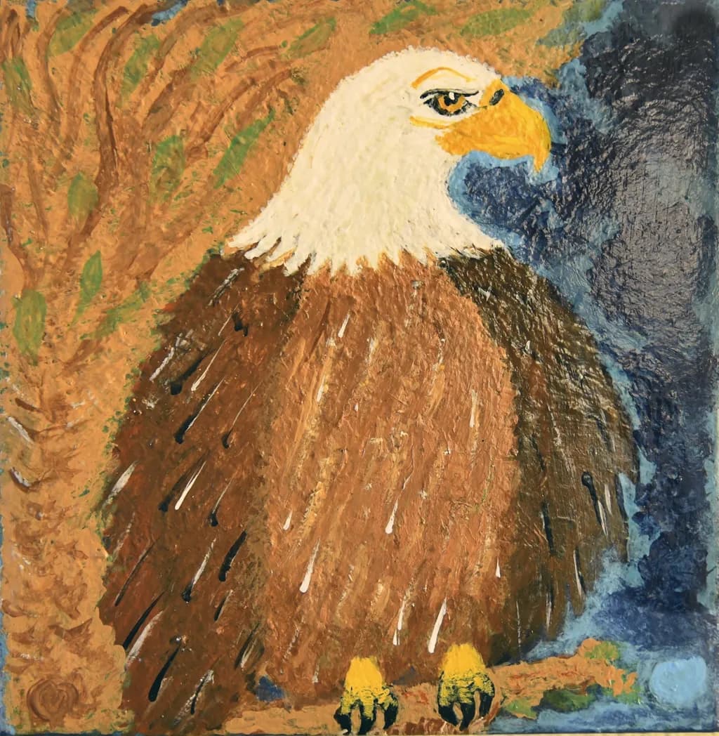Gaze of the Bald Eagle
