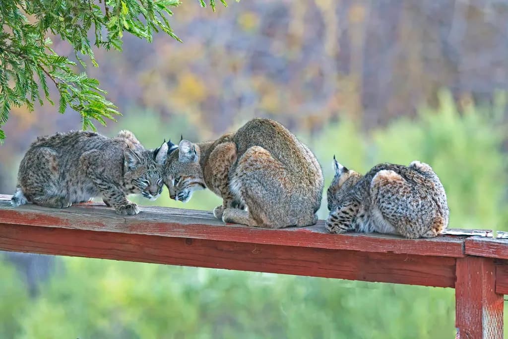 The Art of Togetherness #1