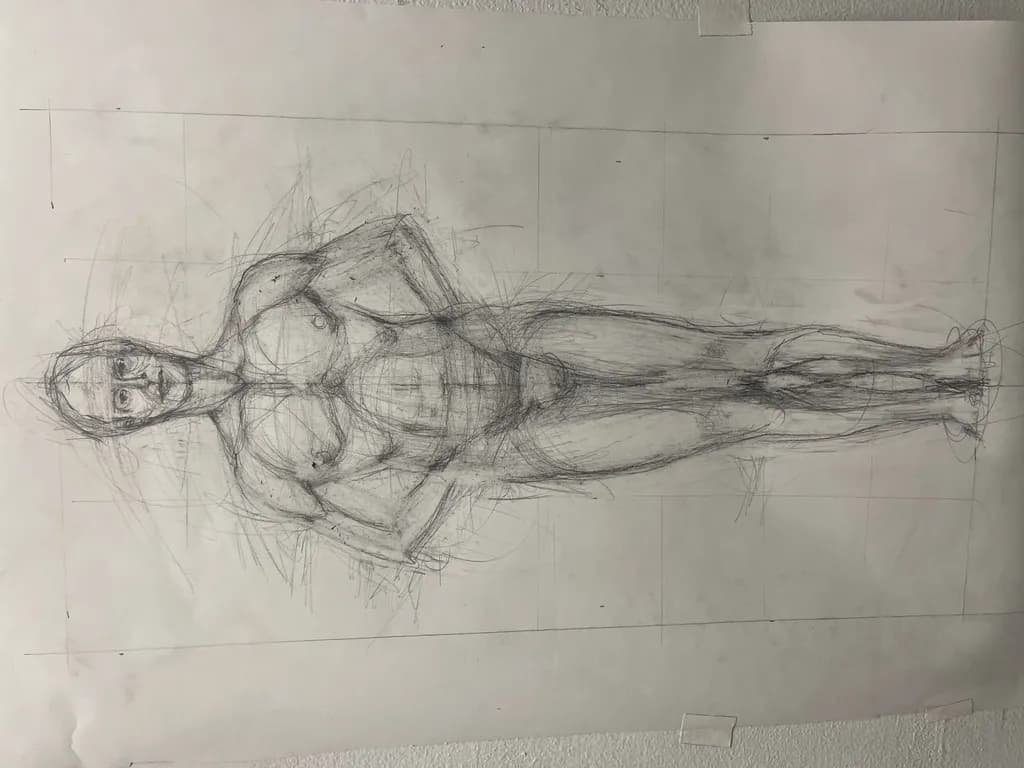 Muscle Proportions Study