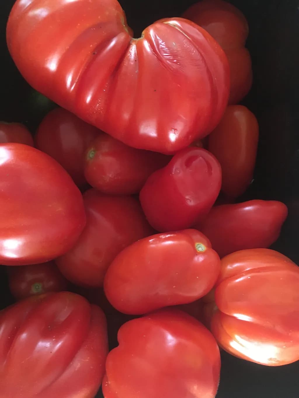 Heirloom Tomatoes