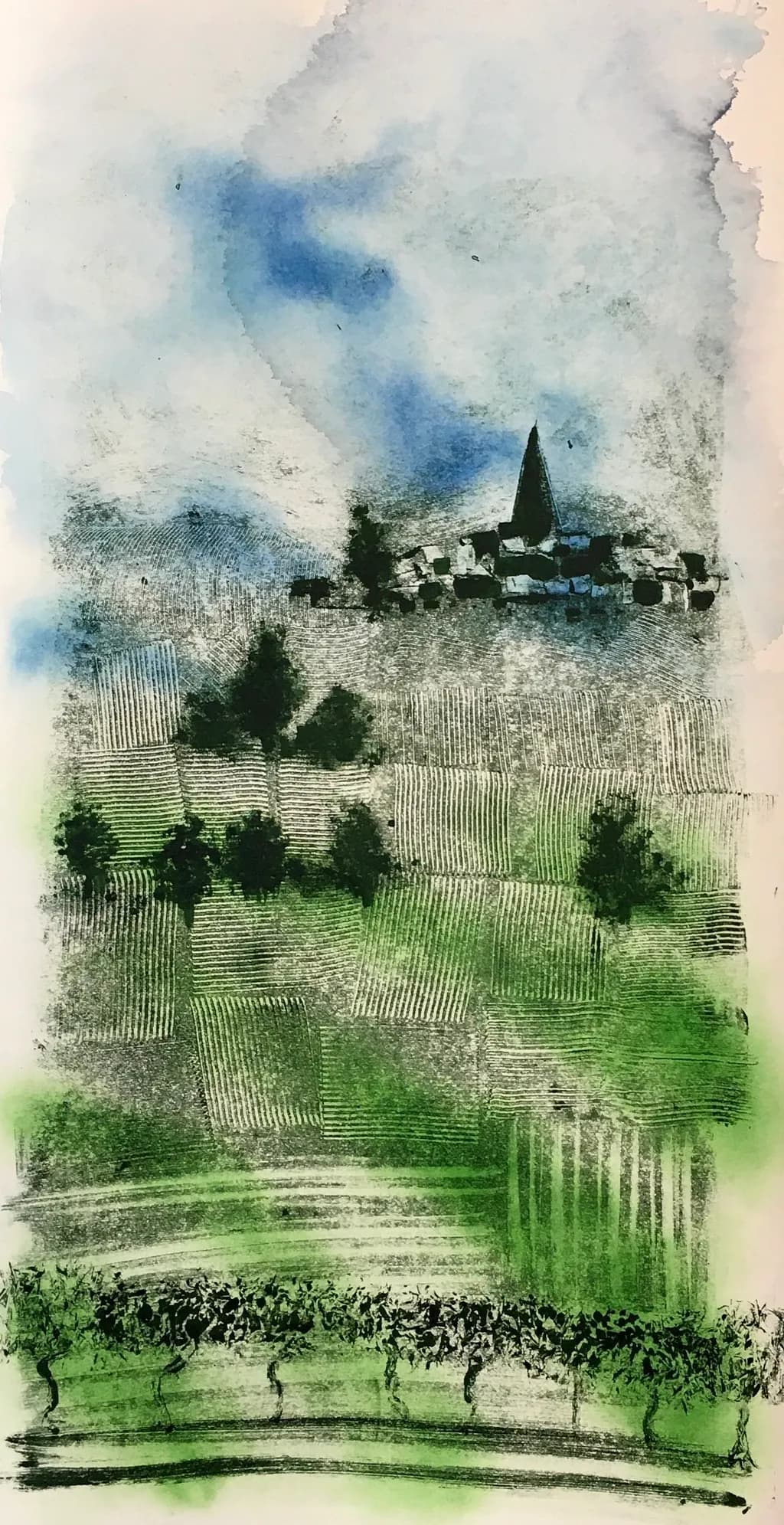 Vineyard Landscape
